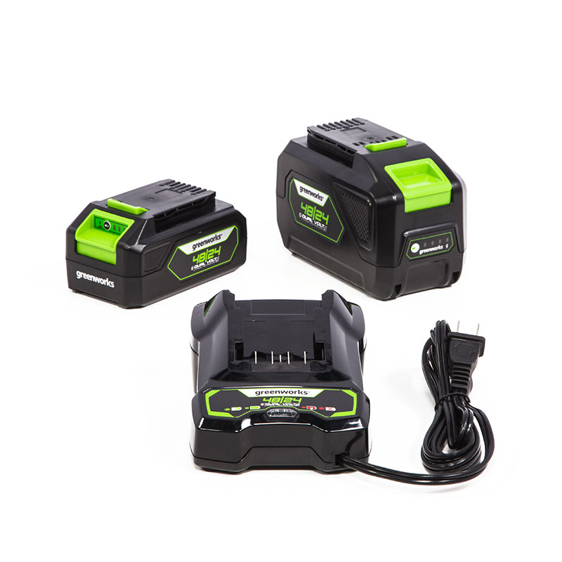 Cargador de baterías 48V / 24V