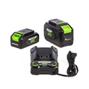 Cargador de baterías 48V / 24V