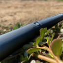 Cintilla Bluedrip drip tape diametro 5/8 calibre 5 ml espesor .125 mm / esp salidas 20 cm pres de trabajo 0.8 bar / flujo. 0.80 lts/hrs medida de rollo 3660 mts