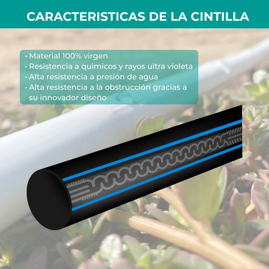 Cintilla Bluedrip drip tape diametro 5/8 calibre 6 ml espesor .15 mm / esp salidas 20 cm pres de trabajo 1.0 bar / flujo. 1.00 lts/hrs medida de rollo 3050 mts