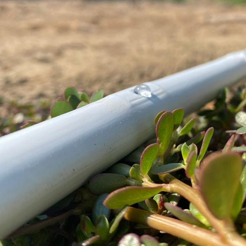 Cintilla Whitedrip tape laberinto diam. 5/8 0.8-1.0 bar. calibre 8 ml espesor .20 mm / esp salidas 10 cm flujo. 1.0 lts/hrs 2600 mts