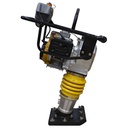 Bailarina 4 hp motor Robin