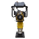 Bailarina 4 hp motor Robin