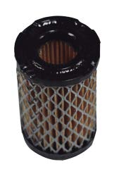 Filtro de aire compatible Tecumseh