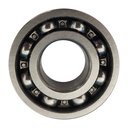 [BSP054/104-42] Baleros