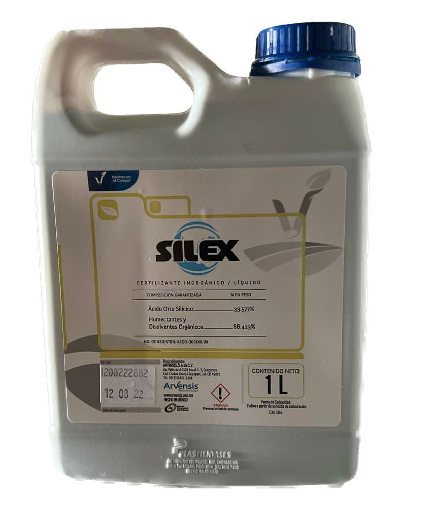 SILEX 1 lt