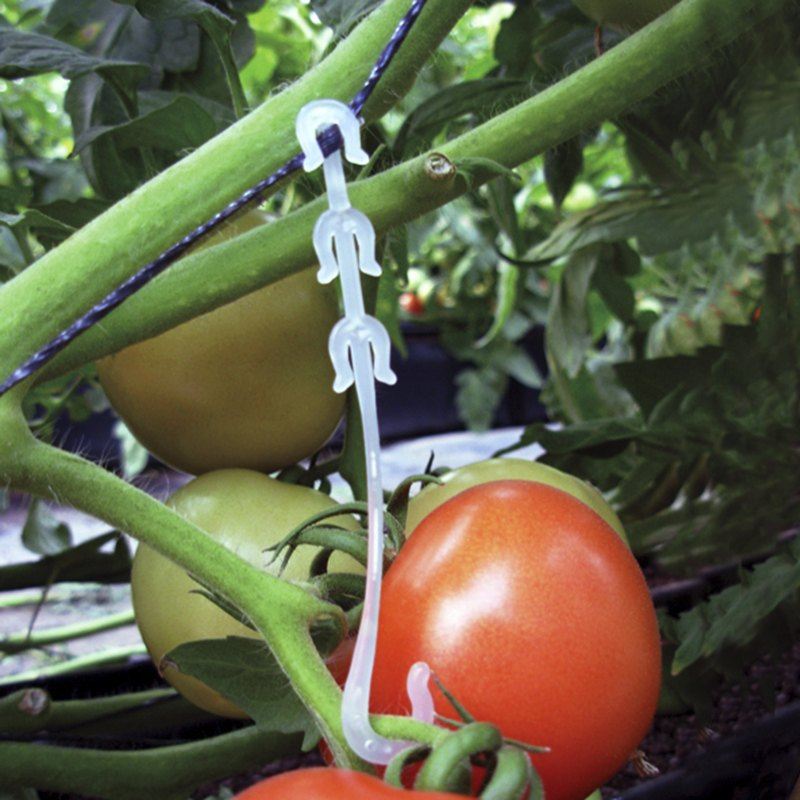 Anillo o Clip plastico soporte de racimo 10,000 pz por caja