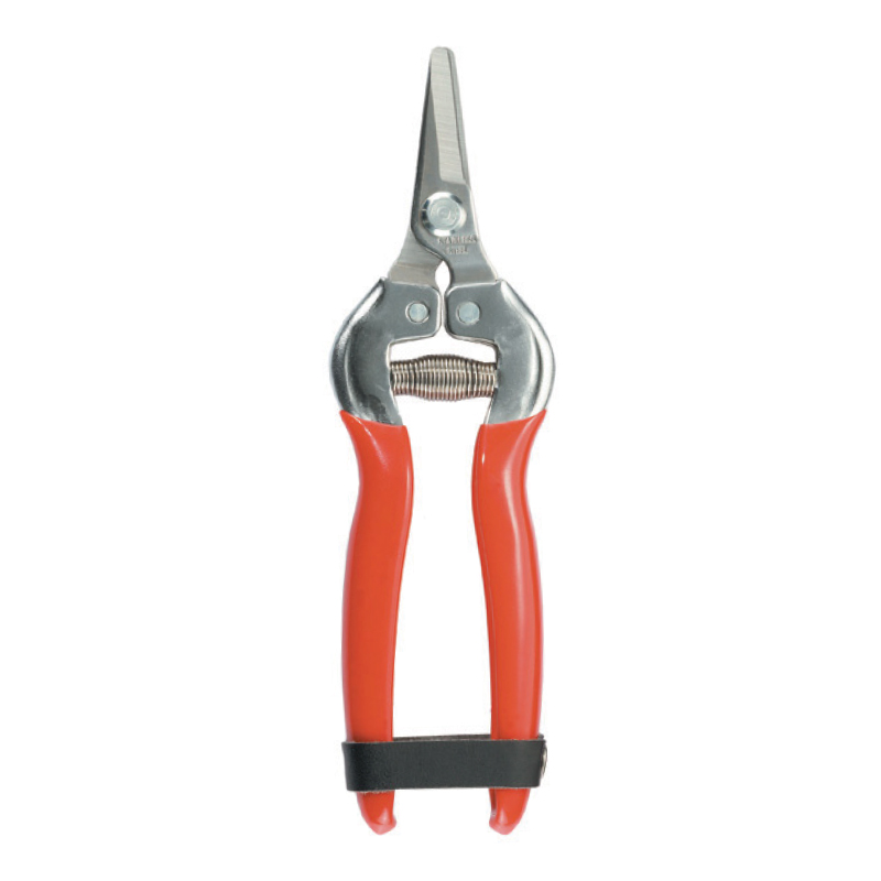 Tijera podadora de frutas con cuchilla de punta de aguja de acero inoxidable diseñada para recoger fruta, cortar brotes, recolectar vegetales y recoger flores