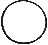 [72FW-B24] O ring G-100