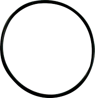 [1502071] Valvula de retencion O ring
