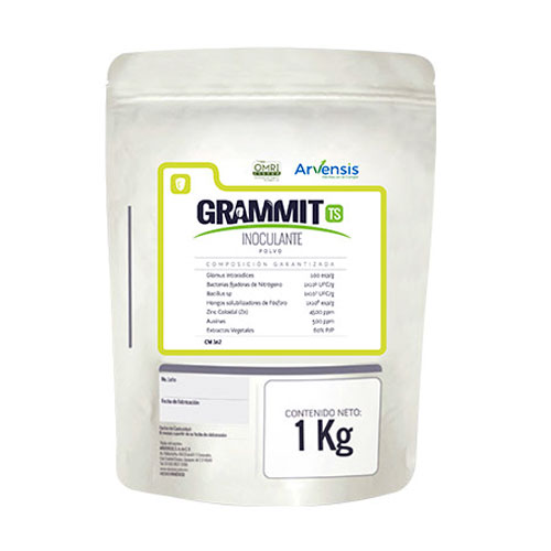 [GRAMMIT1KG] GRAMMIT